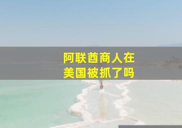 阿联酋商人在美国被抓了吗