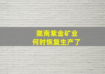 陇南紫金矿业何时恢复生产了