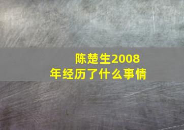 陈楚生2008年经历了什么事情