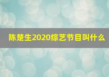 陈楚生2020综艺节目叫什么