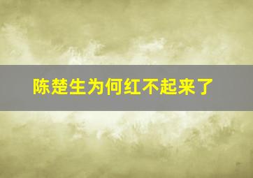 陈楚生为何红不起来了