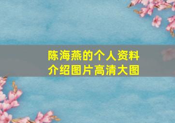 陈海燕的个人资料介绍图片高清大图