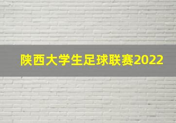 陕西大学生足球联赛2022