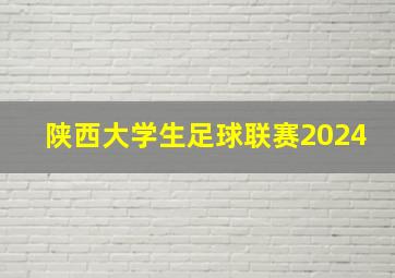 陕西大学生足球联赛2024