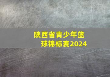 陕西省青少年篮球锦标赛2024