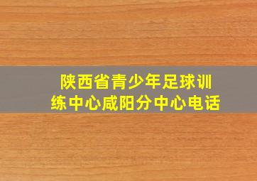 陕西省青少年足球训练中心咸阳分中心电话