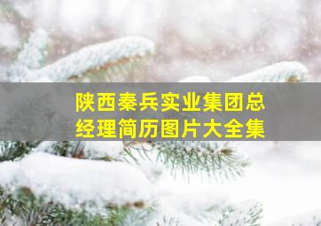 陕西秦兵实业集团总经理简历图片大全集