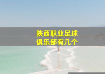 陕西职业足球俱乐部有几个