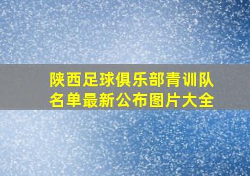 陕西足球俱乐部青训队名单最新公布图片大全