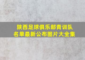 陕西足球俱乐部青训队名单最新公布图片大全集