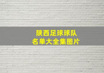 陕西足球球队名单大全集图片