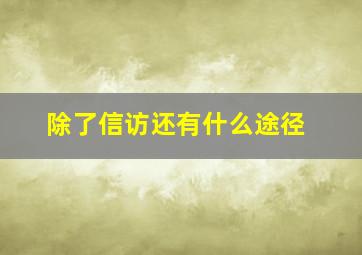 除了信访还有什么途径