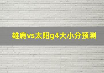 雄鹿vs太阳g4大小分预测