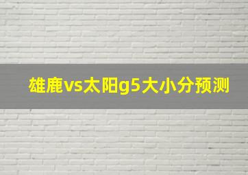 雄鹿vs太阳g5大小分预测