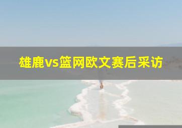 雄鹿vs篮网欧文赛后采访