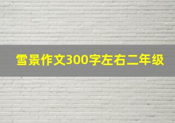 雪景作文300字左右二年级