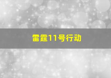 雷霆11号行动