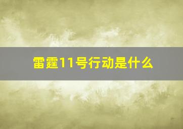 雷霆11号行动是什么