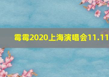 霉霉2020上海演唱会11.11