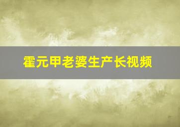 霍元甲老婆生产长视频