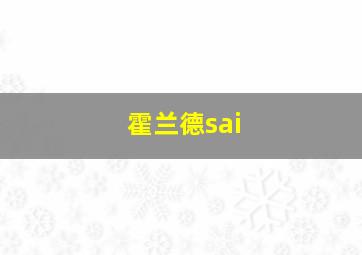 霍兰德sai