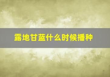 露地甘蓝什么时候播种