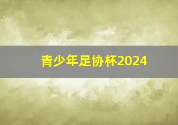 青少年足协杯2024