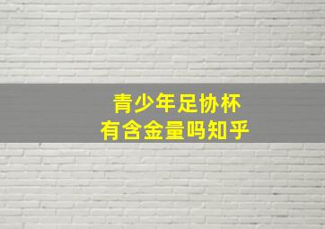 青少年足协杯有含金量吗知乎