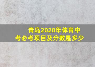 青岛2020年体育中考必考项目及分数是多少