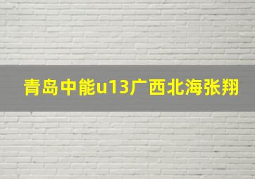 青岛中能u13广西北海张翔