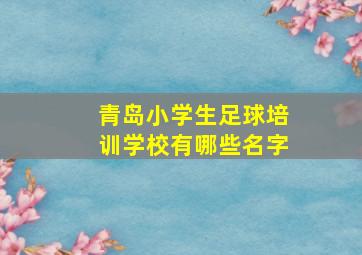 青岛小学生足球培训学校有哪些名字