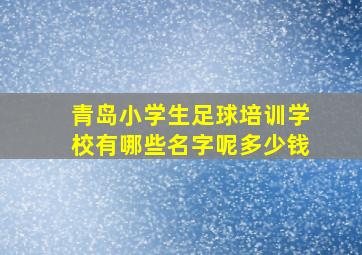 青岛小学生足球培训学校有哪些名字呢多少钱