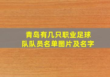 青岛有几只职业足球队队员名单图片及名字