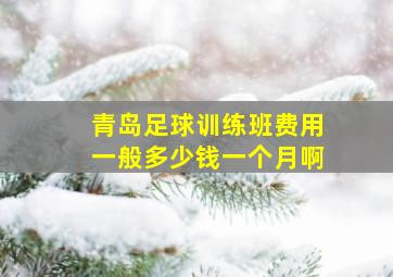 青岛足球训练班费用一般多少钱一个月啊