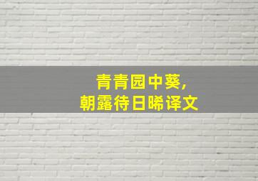 青青园中葵,朝露待日晞译文