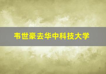 韦世豪去华中科技大学