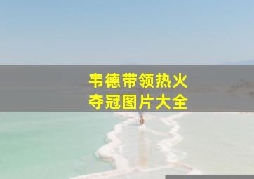 韦德带领热火夺冠图片大全