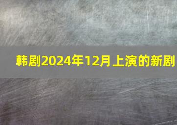 韩剧2024年12月上演的新剧