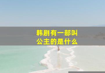 韩剧有一部叫公主的是什么