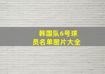 韩国队6号球员名单图片大全