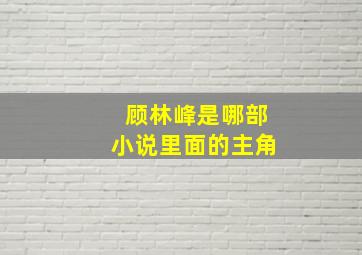 顾林峰是哪部小说里面的主角