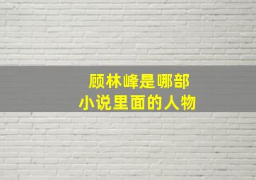 顾林峰是哪部小说里面的人物