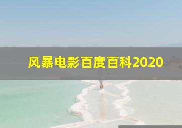 风暴电影百度百科2020