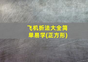 飞机折法大全简单易学(正方形)