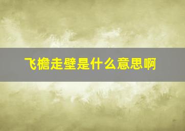 飞檐走壁是什么意思啊