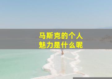 马斯克的个人魅力是什么呢