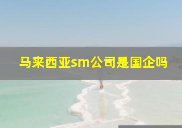 马来西亚sm公司是国企吗