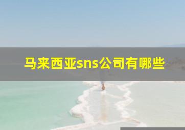 马来西亚sns公司有哪些