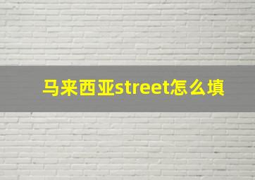 马来西亚street怎么填