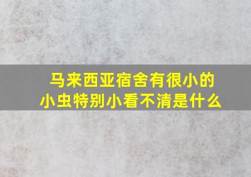 马来西亚宿舍有很小的小虫特别小看不清是什么